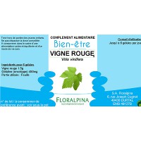 VIGNE ROUGE (Vitis vinifera)